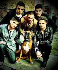 The Wanted&Boxer